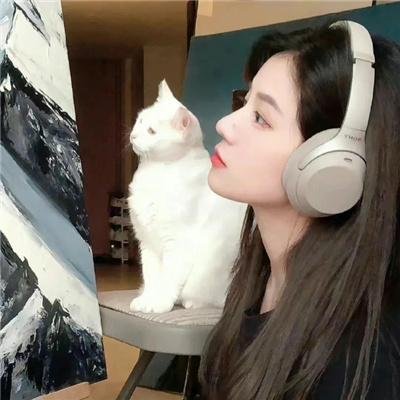 糊涂拍档